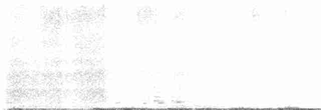 Cisne Trompetero - ML526713341