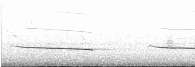Black-eared Cuckoo - ML526745361
