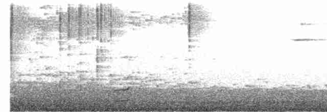 Курочка плямистобока - ML526767941