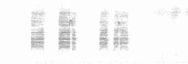 halsbåndfrankolin (henrici gr.) - ML526811401