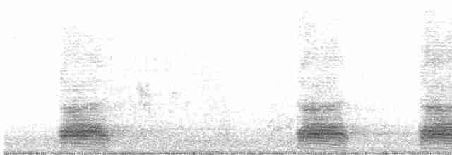 Corbeau freux - ML526831611