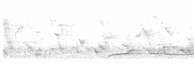 gråpannegrønndue - ML526849321