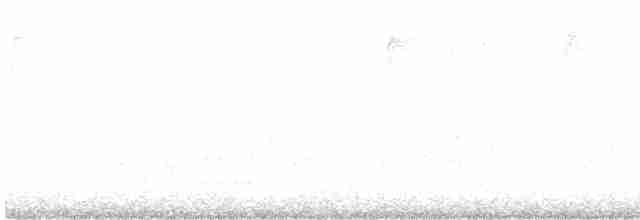 Yellow-rumped Warbler (Audubon's) - ML526852671