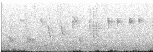 Mirlo Acuático Europeo - ML526855501