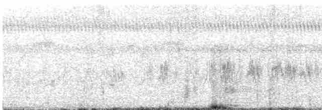 棕三趾鶉 - ML526863711