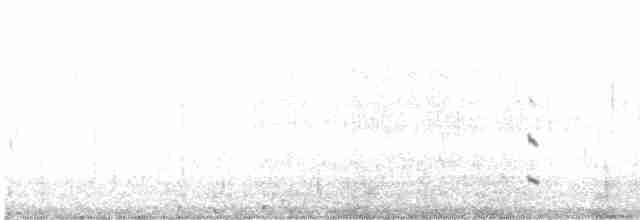 Küt Kuyruklu Korsanmartı - ML526890351