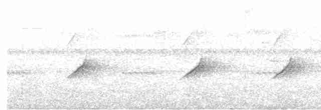 Hochland-Ameisenschlüpfer - ML526895271