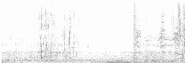 Küt Kuyruklu Korsanmartı - ML526941881