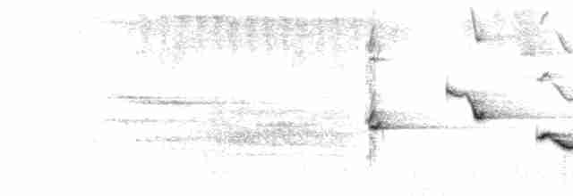  - Black-thighed Grosbeak