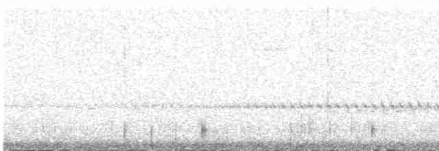 ornathonningeter - ML527036791