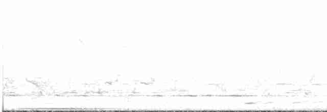 Gilbert's Whistler - ML527049401