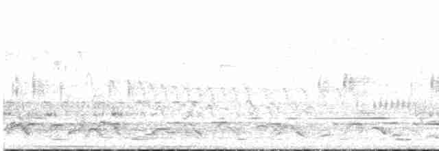 Gilbert's Whistler - ML527057731