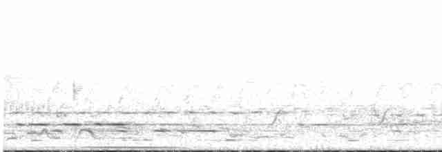 Gilbert's Whistler - ML527057781