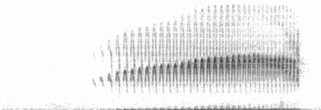 Strichelrückencanastero (Rötelflügelcanastero) - ML527231201