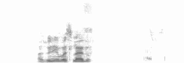 דררה אלכסנדרית (פליטת שבי) - ML52723241