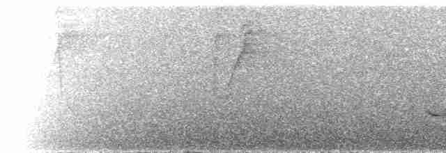 Çizgili Göğüslü Çıtkuşu - ML527234