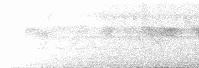 Желтобрюхий трогон - ML527248871