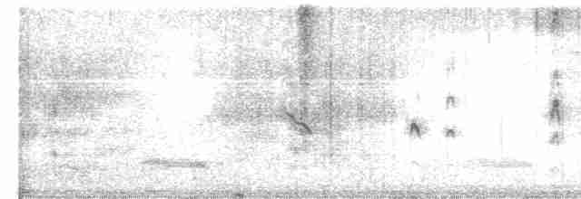 Long-tailed Shrike - ML527279471