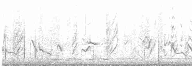 Пароарія чубата - ML527300871