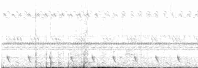Dschungelnachtschwalbe - ML527304301