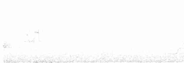 White-breasted Whistler - ML527318281