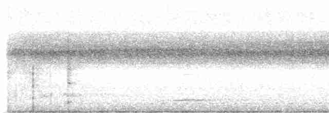 pižmovka bělokřídlá - ML527337721