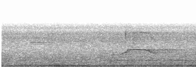 Чёрный хохлатый орёл - ML527346521
