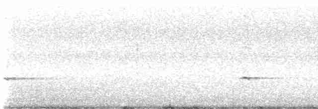 gråsolitærtrost - ML527355281