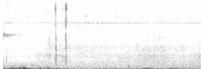 lelek běloocasý - ML527366311