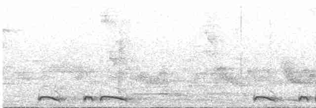 holoubek šupinkový - ML527375601