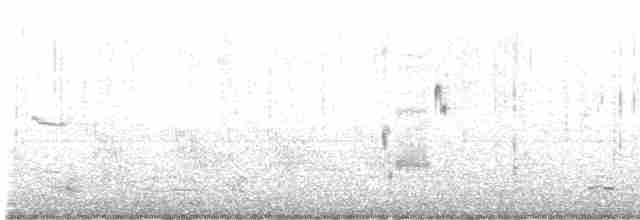 Loggerhead Shrike - ML527394331
