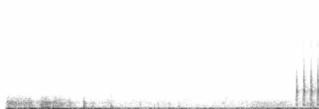 strakapoud velký [skupina major] - ML527410671