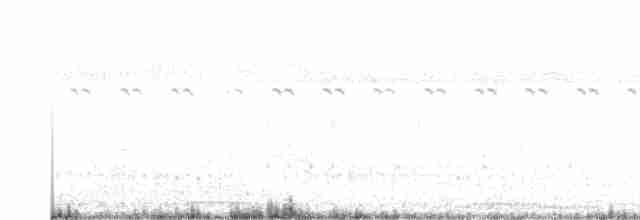 Oriental Reed Warbler - ML527430391