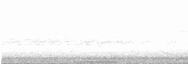 holub bronzovokřídlý - ML527459311