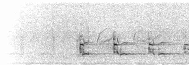  - Greater Spotted Eagle