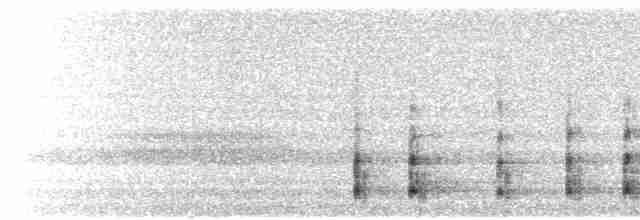  - White-tailed Eagle