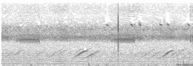 Sichelschwingen-Nachtschwalbe - ML527505731