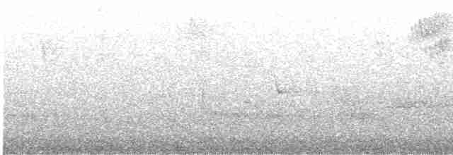 Tasmanerddrossel - ML527521311