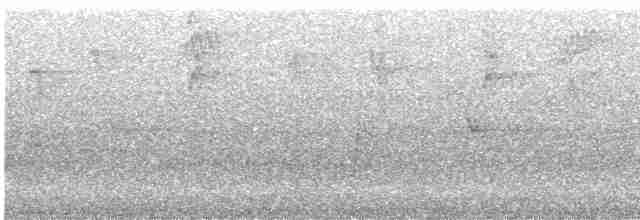 Tasmanerddrossel - ML527522441