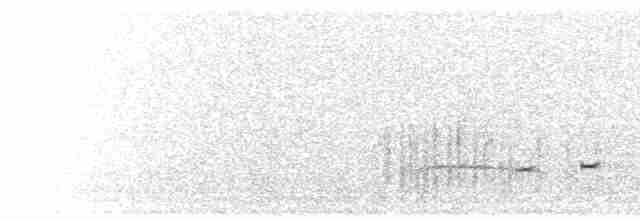  - European Golden-Plover