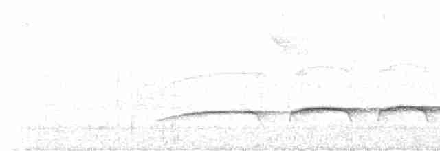 Tufted Antshrike - ML527538671