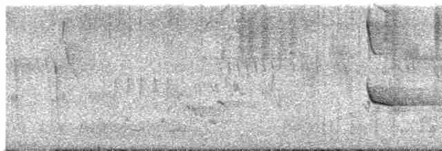 Woodland Kingfisher - ML527565051