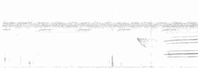 Dağlı Kartal Şahini - ML527613231