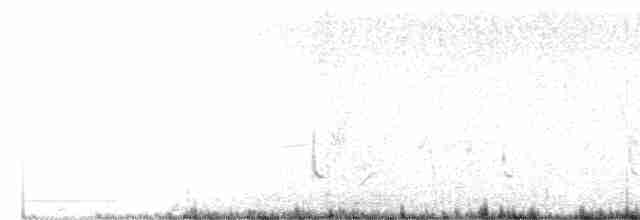 Western Meadowlark - ML52762201