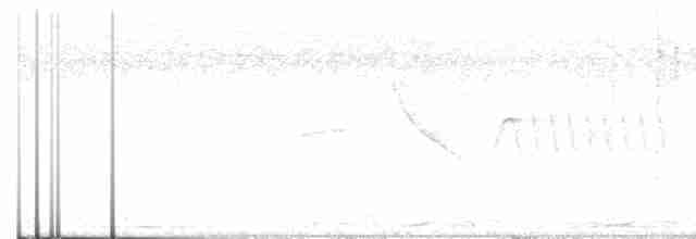 Белокрылый бекард - ML527627771