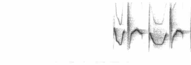  - Coal Tit (British)