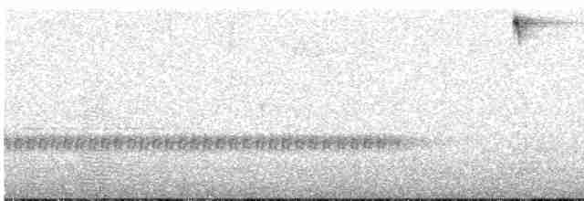 Тинаму-отшельник - ML527690261