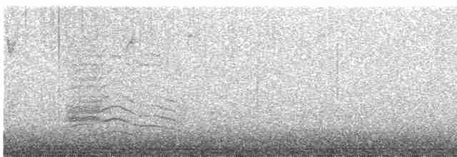 Пересмішник сірий - ML527708181