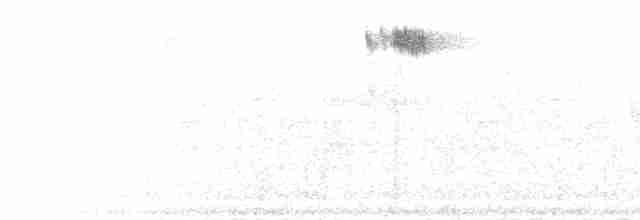  - Red-breasted Flycatcher