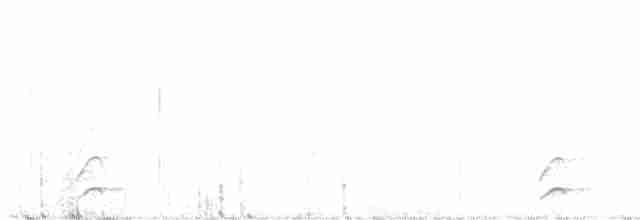 Mérulaxe noirâtre - ML527805501
